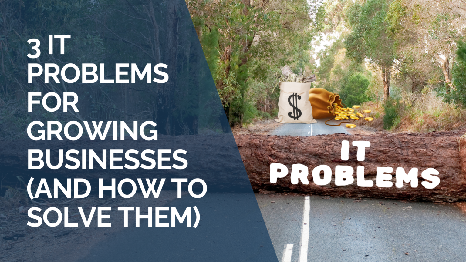 3 IT Problems for Growing Businesses (And How to Solve Them)