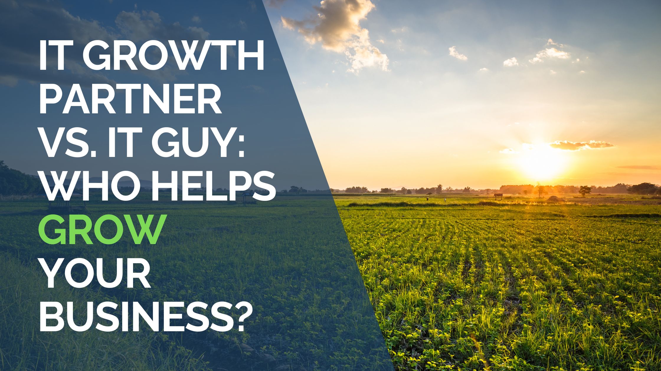 IT Growth Partner vs. IT Guy Who helps Grow Your Business