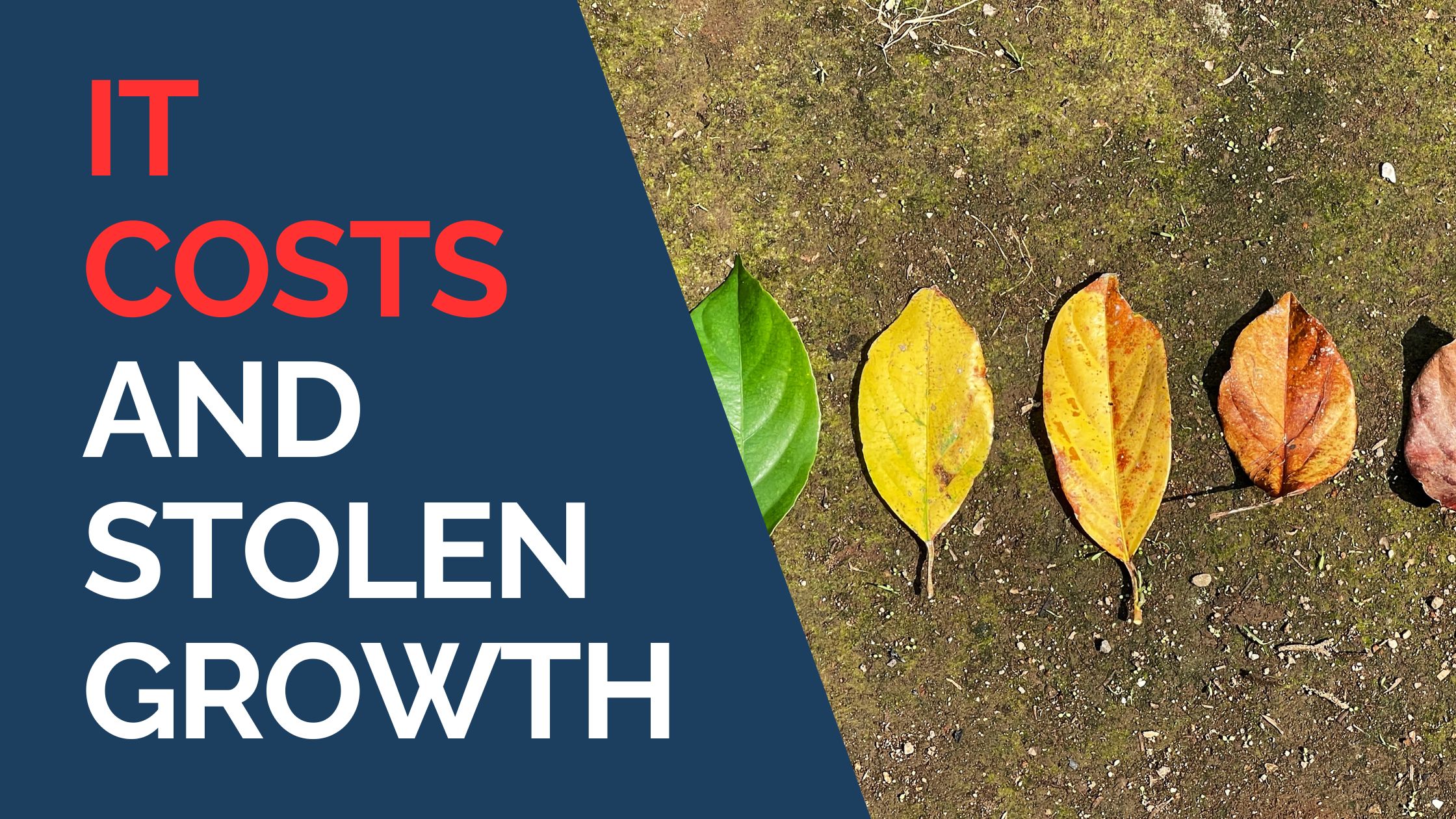 IT Costs and Stolen Growth